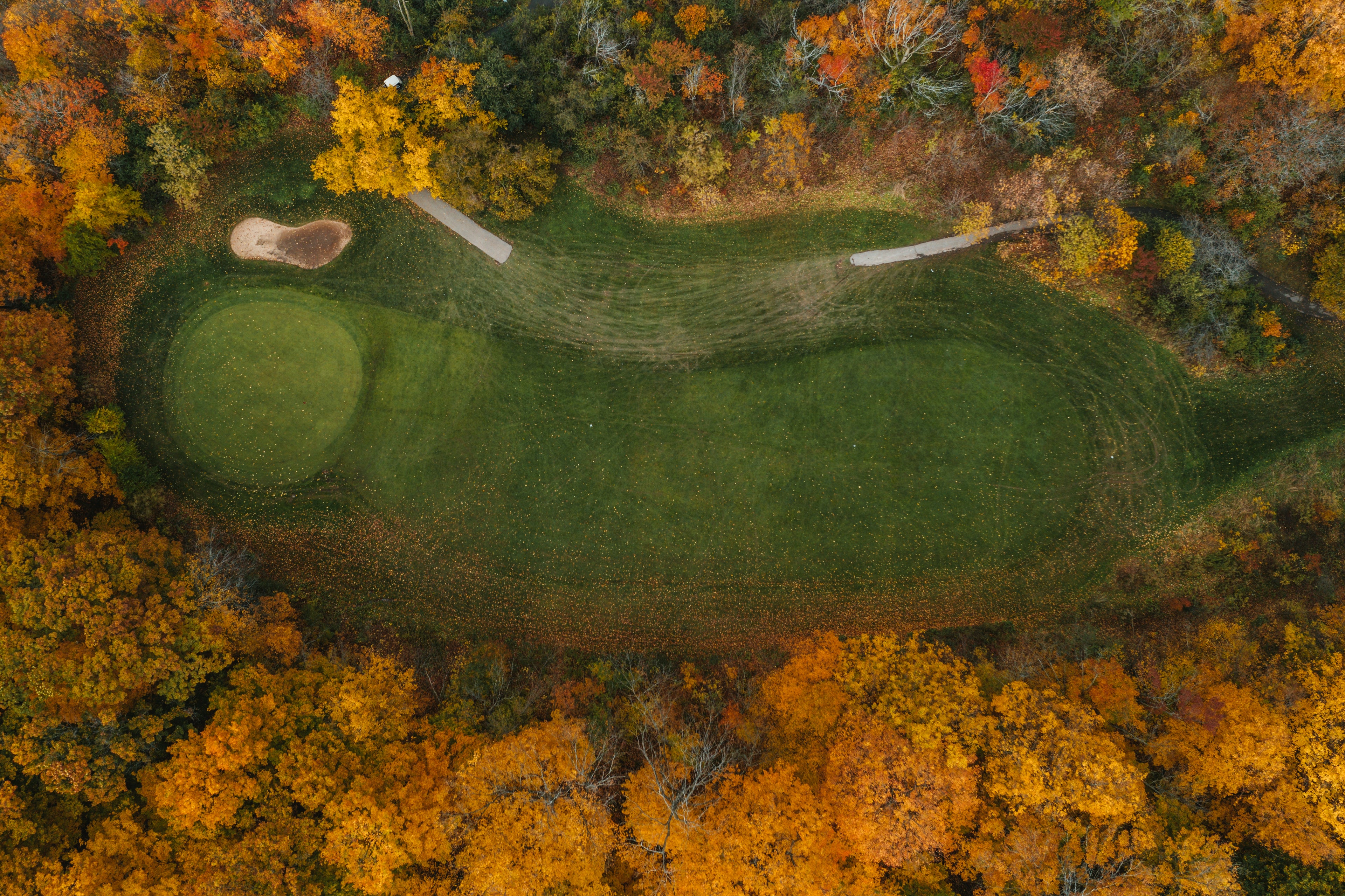 Golf green image from above 